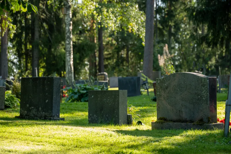 Grüne Rasenfläche mit Grabsteinen im Sonnenlicht